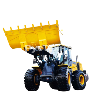 Фронтальный погрузчик XCMG LW1000KN
